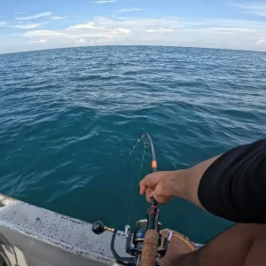 Cần câu LK Special Cá Mập thể hiện sức mạnh đáng kinh ngạc khi chinh phục cá lớn trên biển