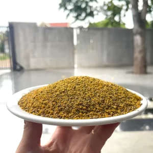 Cận cảnh các hạt cám mịn màu vàng đặc trưng của mồi câu cám chép LK túi đỏ trên đĩa trắng