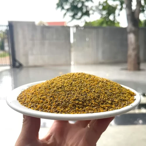 Cận cảnh các hạt cám mịn màu vàng đặc trưng của mồi câu cám chép LK túi đỏ trên đĩa trắng