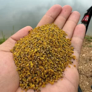 Cận cảnh chất lượng hạt cám chép LK túi đỏ trên lòng bàn tay cho thấy độ tơi xốp và hương vị thính