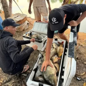 Thành quả thu hoạch đầy thùng cá chép lớn sau khi sử dụng mồi câu cám chép LK của các cần thủ