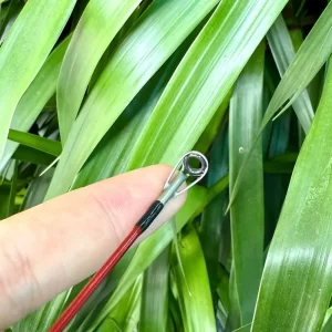 Cận cảnh khoen đầu bu Fuji chống xoắn dây cao cấp trên cần Cheap LK