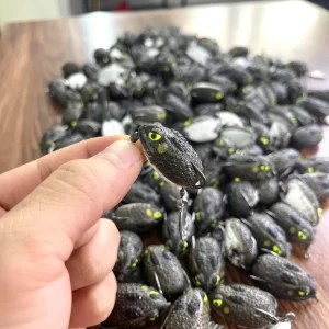 Cần thủ cầm trên tay mồi giả câu cá lóc Cóc LK màu nâu đậm họa tiết da cóc sần