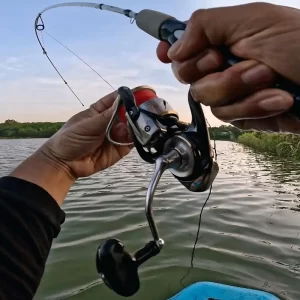 Hình ảnh thực tế test độ cong và độ nảy của cần câu lure Tiểu Lk khi đang kéo mồi trên nước