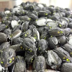 Tổng kho số lượng lớn mồi câu lure Cóc LK đầy đủ các màu sắc cho cần thủ