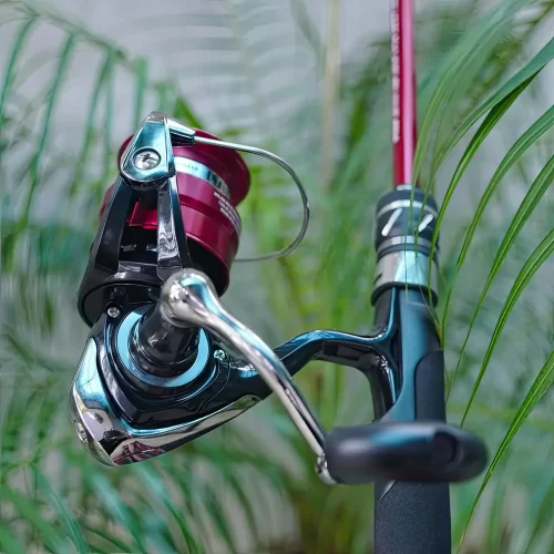 Bộ cần câu lure Cheap LK máy Daiwa MG góc nhìn từ phía sau cụm l công tắc máy câu đứng