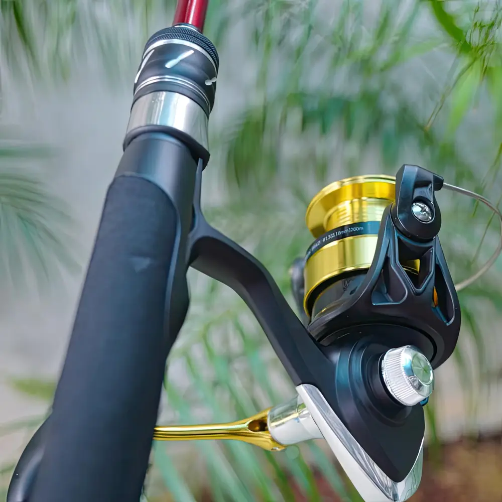 Bộ cần câu lure Cheap LK máy Daiwa RS nhìn từ phía sau cụm spool máy đứng và pat giữ cần
