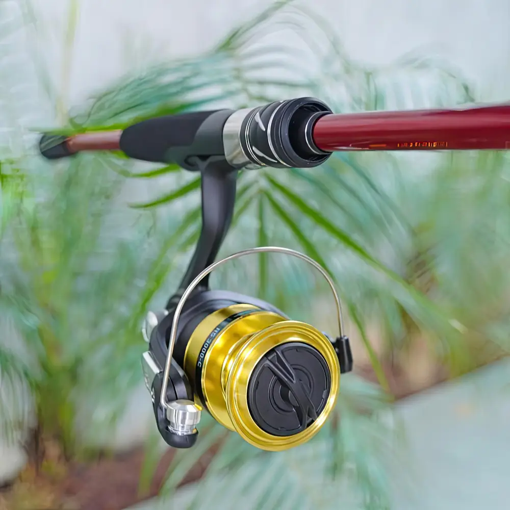 Bộ cần câu lure Cheap LK máy Daiwa RS góc nhìn trực diện từ phía trước của máy đứng Daiwa