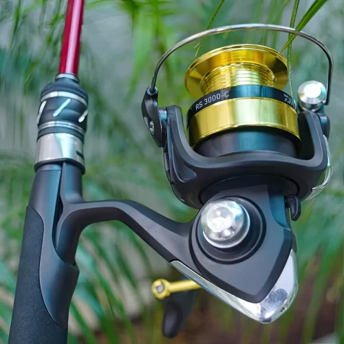 Bộ cần câu lure Cheap LK máy Daiwa RS phối màu vàng gold và đen cực kỳ sang trọng bốc lửa