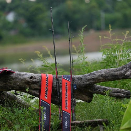 Cần câu lure Mono LK dạng cần đứng và cần ngang dựng gọn trên thân gỗ